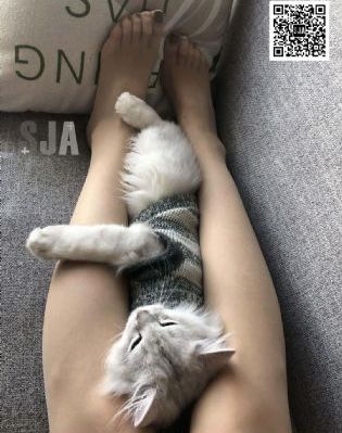 叙利亚在线成人av-云播日韩免费观看